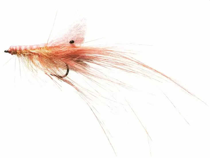 Pattegris Pink - Shrimps - 5707549240533 - 1