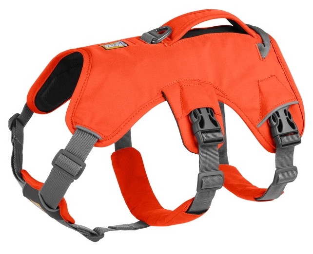 Ruffwear Web Master Harness Blaze Orange - Dog Harness - 748960736613 - 1