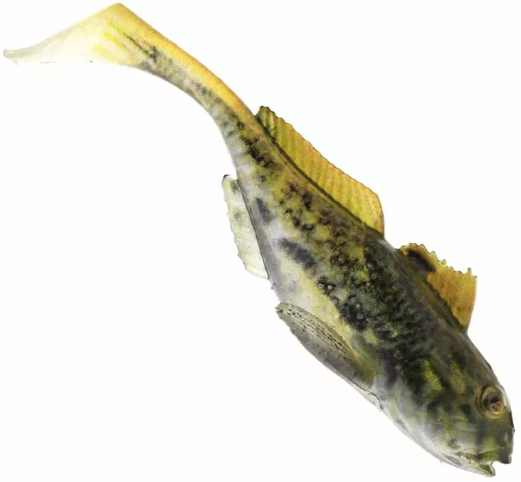Westin Gunnar The Goby 6,5cm 3,5g 3pcs - Classic Softbaits - 1730013 - 1