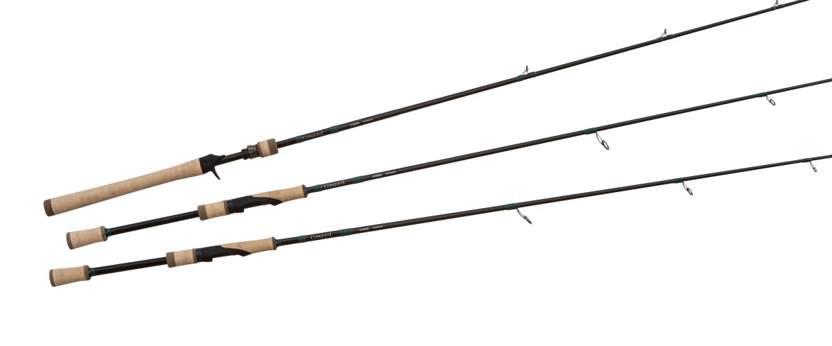 CNQ 842S SJR webstore