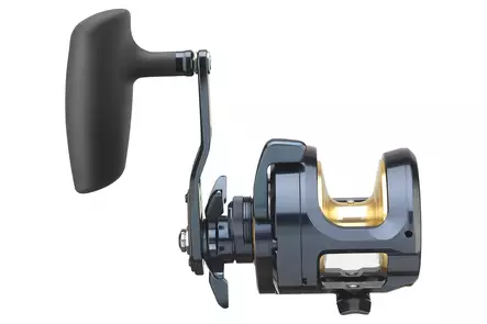 Daiwa 24 Saltiga 15 - Sea fishing and trolling reels - 043178187234 - 2