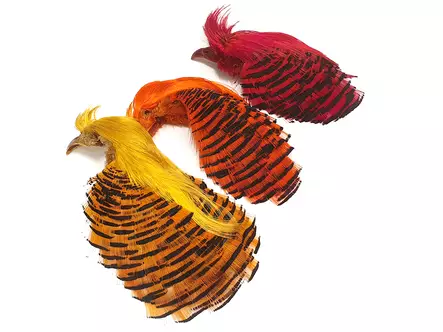 Golden Pheasant Complete Head 1st Qualit - Skins, Wings and Heads - 404001000024 - 1