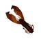 Gunki Boogie Craw 75 - Creature softbaits - 17300300804 - 2