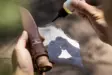Ballistol care oil - Gun Oil and Greases - 6416885307044 - 7