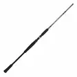 BFT Raptor G2 - BFT Baitcasting Rods - 7340029417384 - 2
