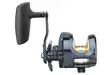 Daiwa 24 Saltiga 15 - Sea fishing and trolling reels - 043178187234 - 2