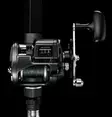 Daiwa Accudepth 40LC - Sea fishing and trolling reels - 043178922934 - 2