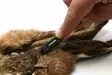 Hareline Ceramic Zirgonia Dubbing Rake - Dubbing Twisters and Brushes - 762820208614 - 5