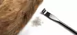 Hareline Ceramic Zirgonia Dubbing Rake - Dubbing Twisters and Brushes - 762820208614 - 8