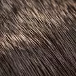 Hareline Comparadun Deer Hair - Body Hairs - 7628200124444 - 2