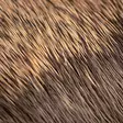 Hareline Comparadun Deer Hair - Body Hairs - 7628200124444 - 3