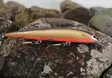 Karikko Vaappu 18cm - Wobblers +10 cm - 26022024 - 3
