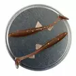 Microbite Osmerus 6,8cm 5kpl - Classic Softbaits - 34003000044 - 18