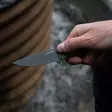 SOG Altair FX Field Green - Hunting Knives - 729857013604 - 1