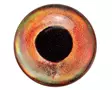 Sybai 3D Epoxy Fish Eyes 8mm -tarrasilmät - 3D Eyes - 402004000094 - 6