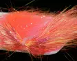 Sybai Tackle Saltwater Angel Hair - Flashabous - 405501010034 - 9
