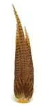Veniard Cock Pheasant Complete Tail - Tails - 5056304604272 - 1