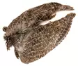Veniard English Partridge Wings - Skins, Wings and Heads - 5056304603589 - 1