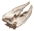 Veniard English Partridge Wings - Skins, Wings and Heads - 5056304603589 - 2