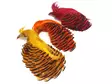 Golden Pheasant Complete Head 1st Qualit - Skins, Wings and Heads - 404001000024 - 1