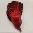 Golden Pheasant Complete Head 1st Qualit - Skins, Wings and Heads - 404001000024 - 3