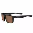 Brown - Plastic Lenses - 6417512842594 - 1