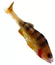 Westin Original Perch Shadtail 7cm 4g 2kpl - Classic Softbaits - 0612202214 - 2