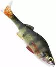 Westin Original Perch Shadtail 7cm 4g 2kpl - Classic Softbaits - 0612202214 - 8