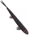 Westin TwinTeez Pelagic 20cm - Soft Baits for Vertical Fishing - 5707549410024 - 2