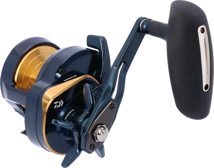 Daiwa 24 Saltiga 15 - Sea fishing and trolling reels - 043178187234 - 1