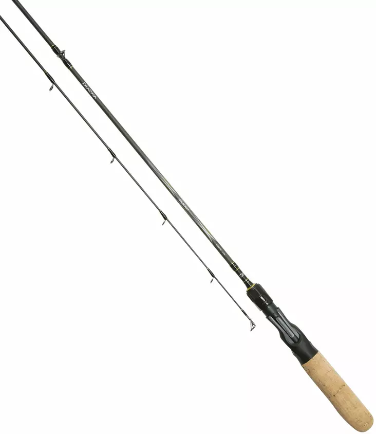 Daiwa Goldcast 602MB 10-30g - Daiwa Baitcasting Rods - 5055545203084 - 1