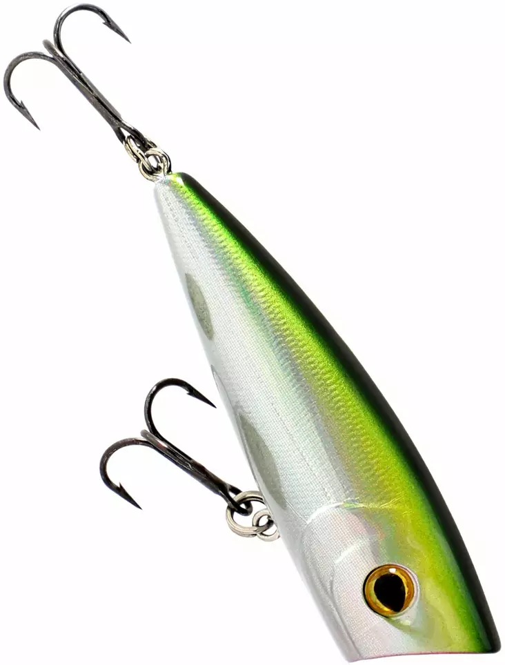 chapo fishing lure Halco Roosta Popper 160 / Chrome Tiger The internal squeak Shop Hole Shot Lures