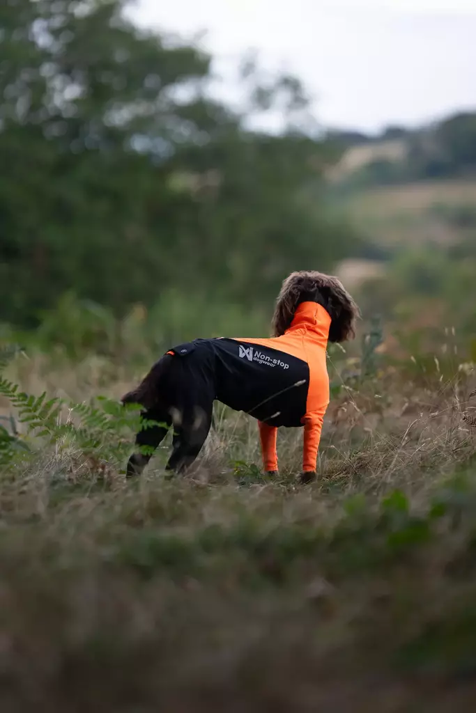 Non-stop Dogwear Protector Suit M Orange/Black - Ruoto.com webstore