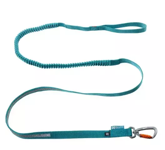 Non-stop Touring Bungee 23mm 3,8m Teal - Dog Leash - 7071652154024 - 1