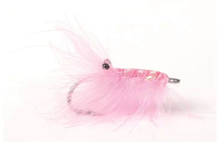 Runars Cdc Reke Pink - Shrimps - 7033840121584 - 1