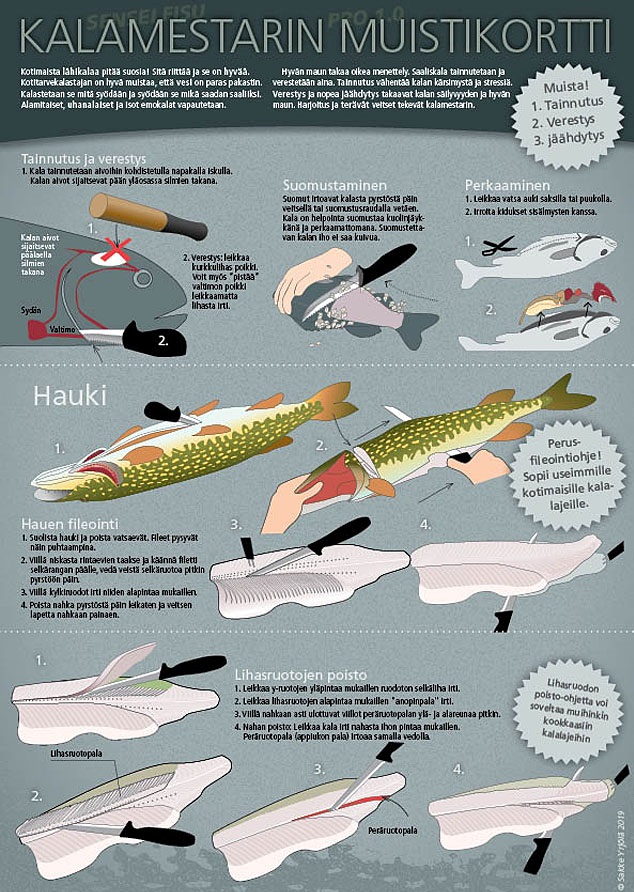 Sakke Yrjölä Kalamestarin Muistikortti A4-kortti - Printed Matter - 6430048500714 - 1