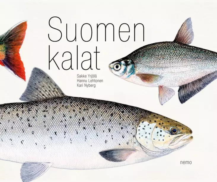 Suomen kalat - Hannu Lehtonen, Kari Nyberg, Sakke Yrjölä - Printed Matter - 9789511544944 - 1