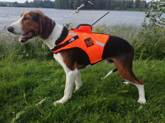 Tracker Kardog Jehu Koiraliivi - Dog Vest & Cloths - A2900034 - 1