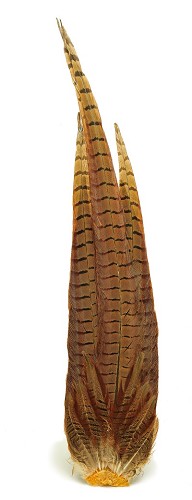 Veniard Cock Pheasant Complete Tail - Tails - 5056304604272 - 1