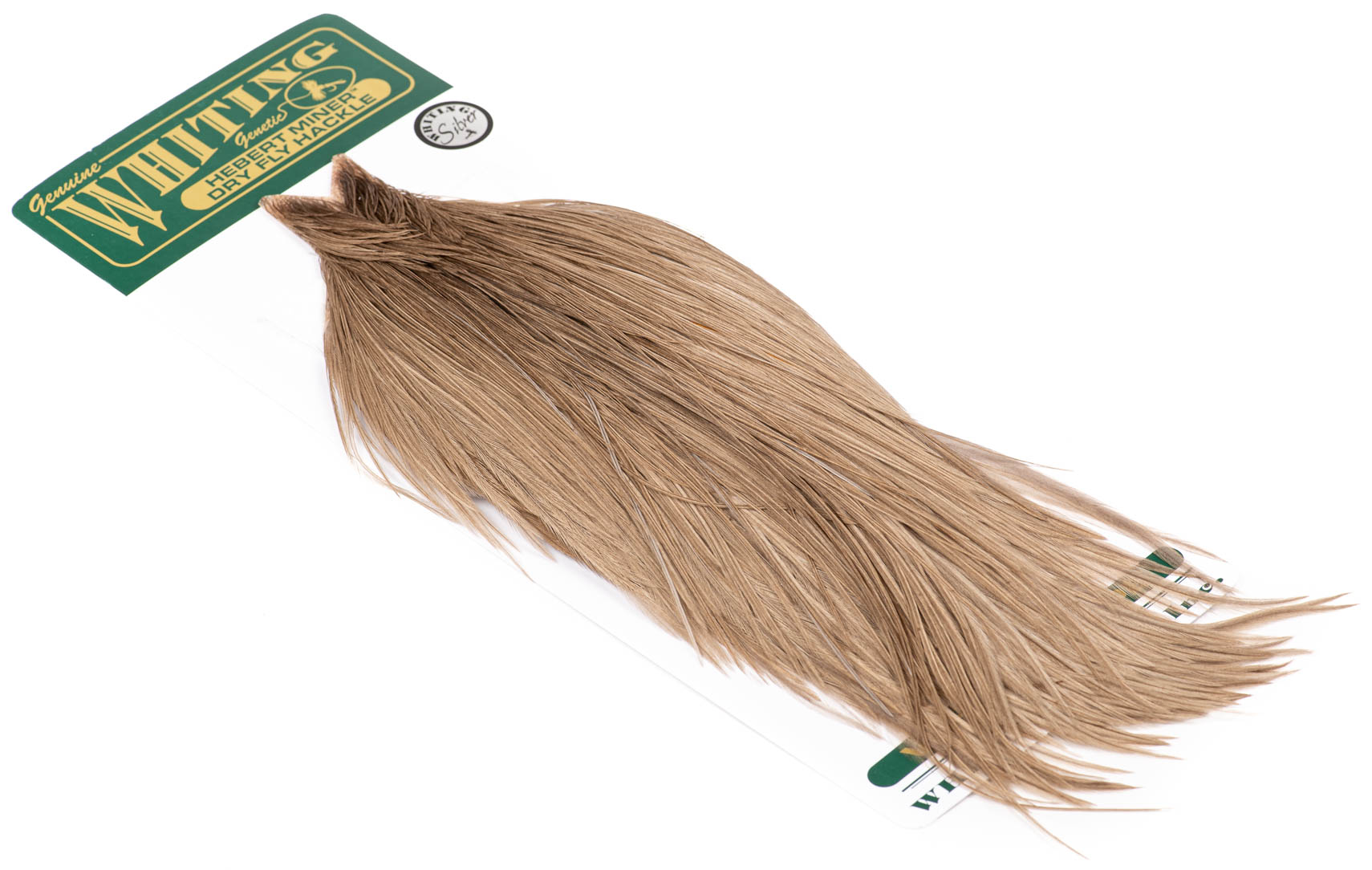 whitinghebertminerdryflycapesi