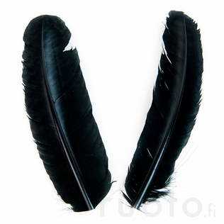 Wapsi Ozark Turkey Wing Cricket Black - Classic Feathers - 053526062045 - 2