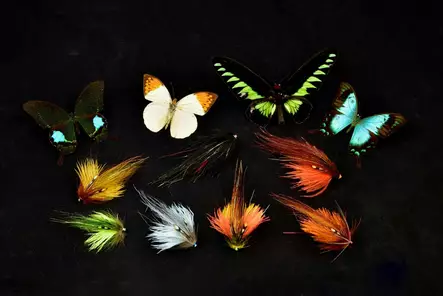 Frödin Flies Butterfly Mikkeli - Tube Flies - 7340154606165 - 2