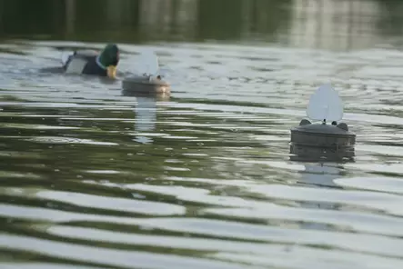 MOJO Flock a Flicker 2 (4-pack) - Decoys - 816740004655 - 2