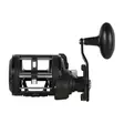 Penn Rival II Level Wind 20 LH - Saltwater Spinning Reels - 031324017825 - 3