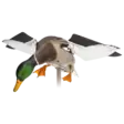 Avian-X Powerflight Mallard - Decoys - 082271001795 - 2
