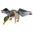 Avian-X Powerflight Mallard - Decoys - 082271001795 - 1