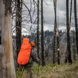Eberlestock Rev Rain Cover Reversible S - Accessories for Backpacks and Bags - 812028018895 - 3