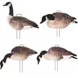 Final Approach Last Pass Honker Silhouettes 12pcs - Decoys - 745808900595 - 1