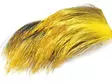 FutureFly Wild Boar - Body Hairs - 40500200045 - 2