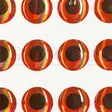 Grimman 3D Fish Eyes 10mm - 3D Eyes - 11808005 - 3
